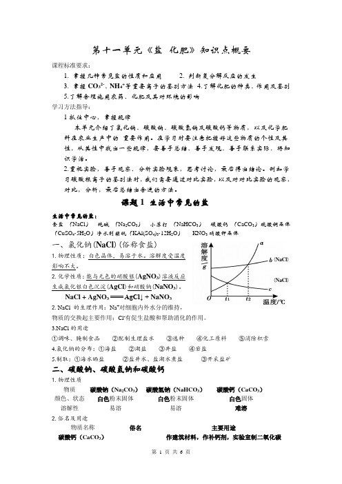 初中化学下册第十一单元基础知识概要