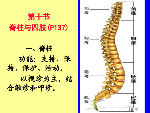 第四章第十节 脊柱与四肢评估
