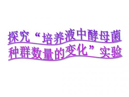 3—6：教材实验(十四)：探究“培养液中酵母菌种群数量的变化”实验