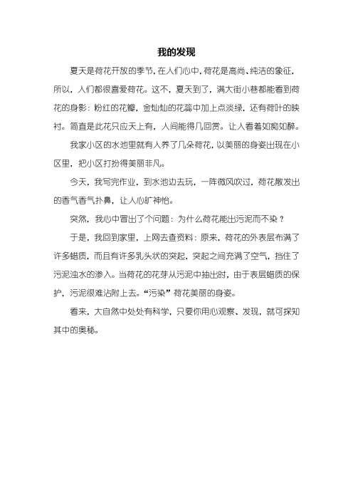 四年级作文：我的发现作文350字