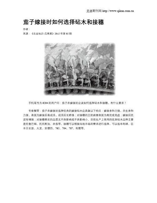茄子嫁接时如何选择砧木和接穗
