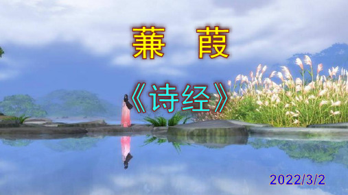 《蒹葭》优秀PPT课件
