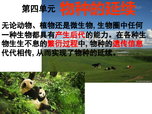 生物济南版八年级上册花的结构和类型PPT课件