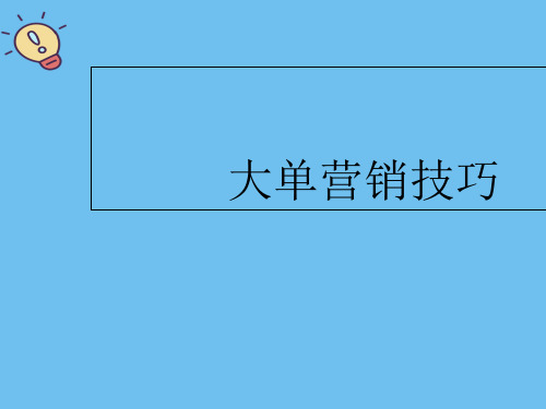 大单营销技巧【优质】PPT文档
