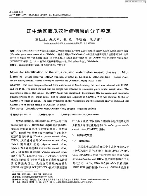 辽中地区西瓜花叶病病原的分子鉴定