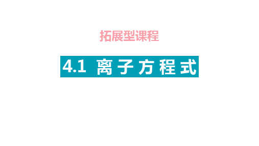 沪科版高中化学拓展课程 4.1.1 离子方程式(课件)(共12张PPT)