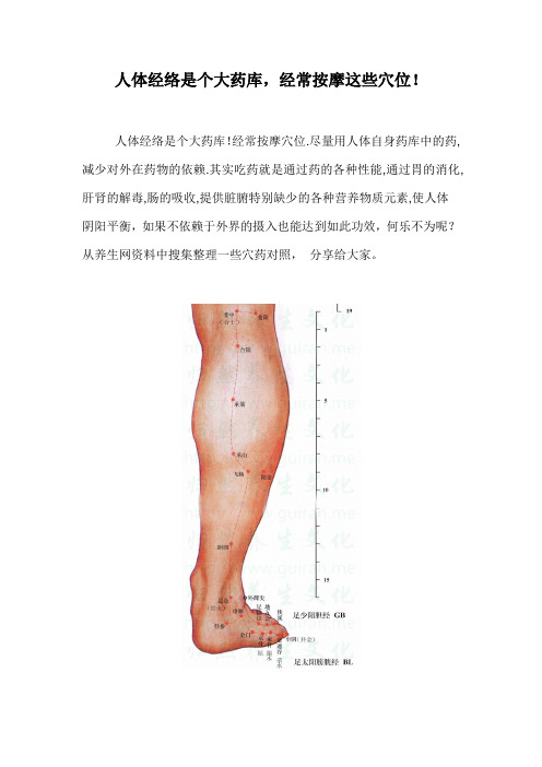 人体经络是个大药库
