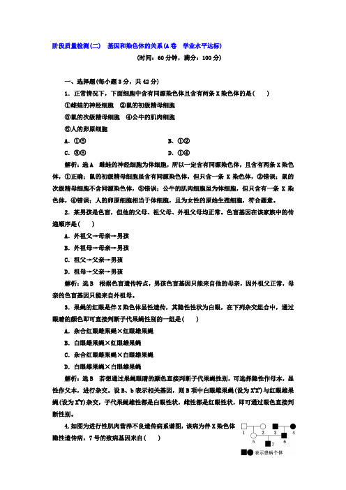 2017-2018学年高中生物必修二阶段质量检测二 基因和染