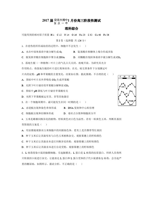 安徽省安庆一中、安师大附中2017届高三1月阶段性测试理科综合试题(附答案)$757739