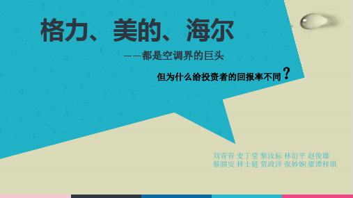 【推荐】空调界的巨头投资回报率概述(PPT31