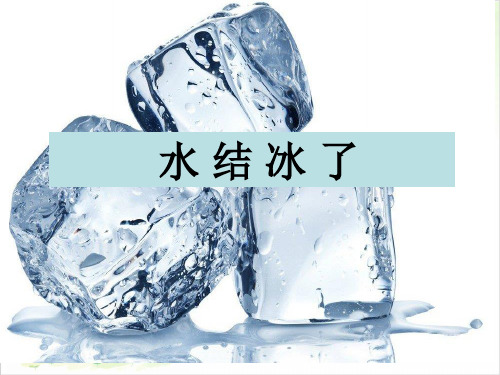 三年级上册科学-水结冰了-教科版(共17张)-PPT课堂课件