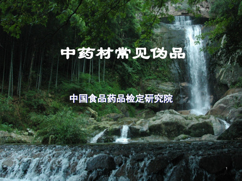 中药材伪品(中检院培训教材)