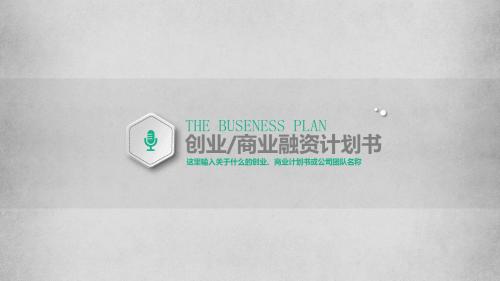 完整框架微粒体创业投资众筹融资商业计划书PPT模板推荐
