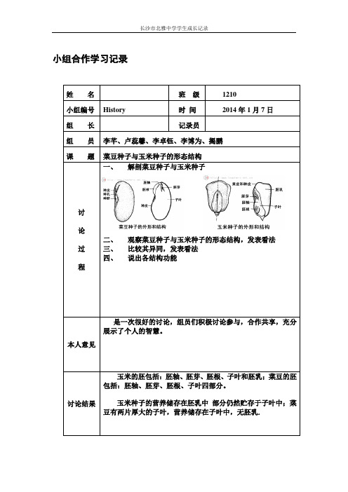 小组合作学习记录