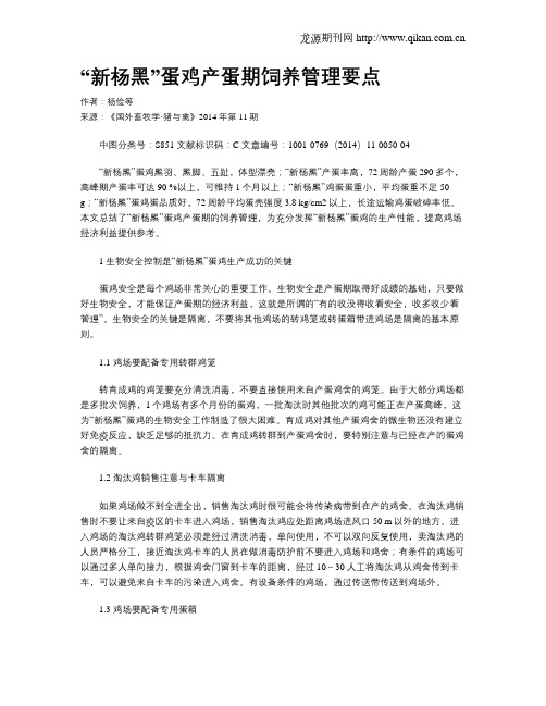 “新杨黑”蛋鸡产蛋期饲养管理要点