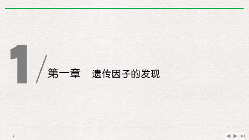 新教材人教版生物必修第二册一对相对性状的杂交实验过程和解释