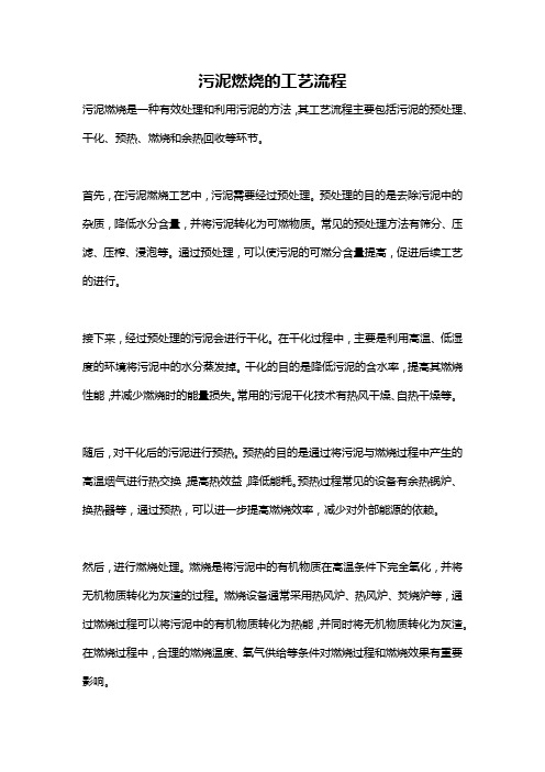 污泥燃烧的工艺流程
