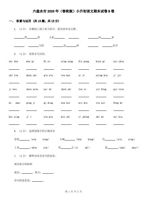 六盘水市2020年(春秋版)小升初语文期末试卷B卷