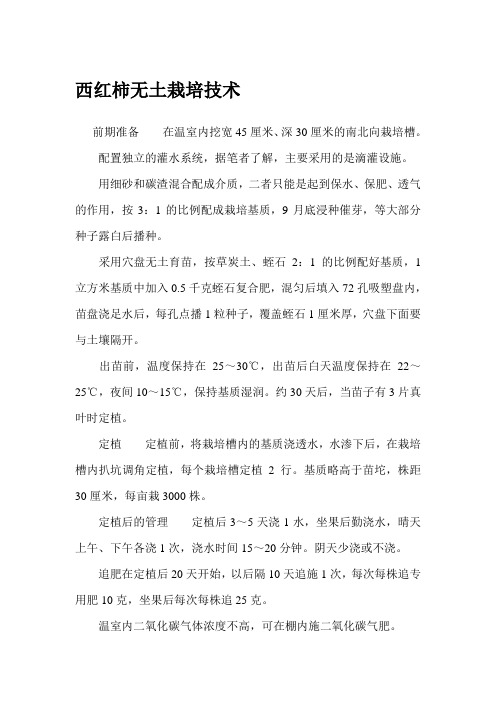 西红柿无土栽培技术