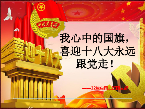 团课我心中的国旗 优质课件
