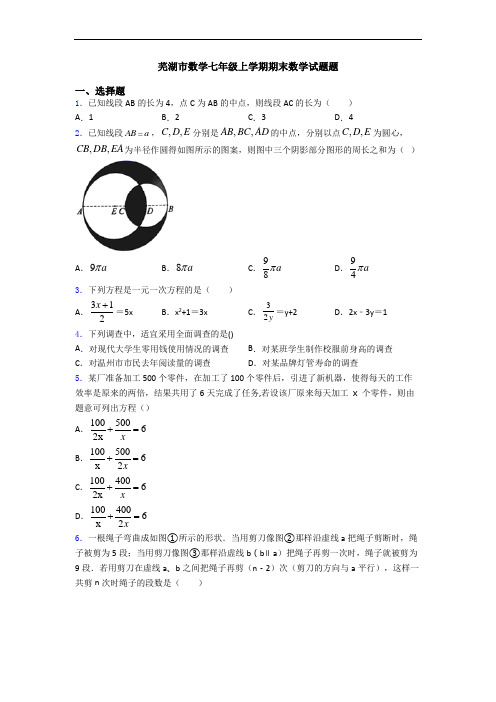 芜湖市数学七年级上学期期末数学试题题
