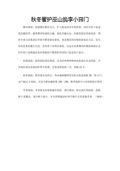 秋冬管护巫山脆李小窍门