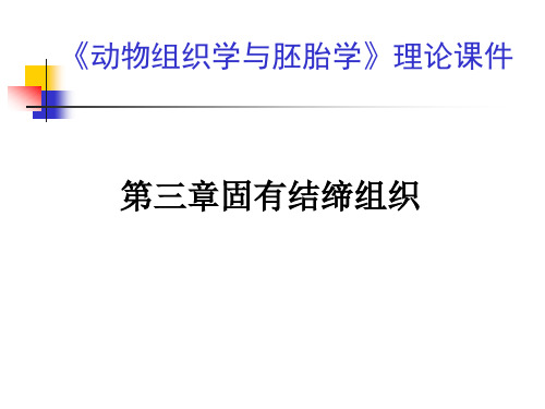 第3章固有结缔组织(NXPowerLite)