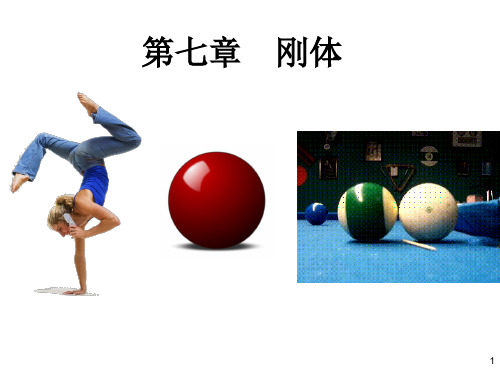 第七章 刚体