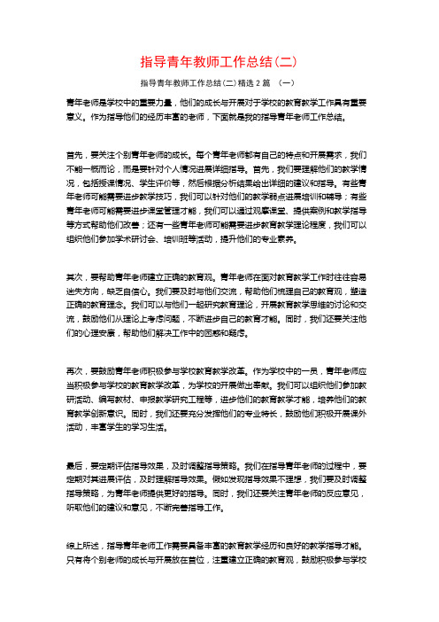 指导青年教师工作总结2篇