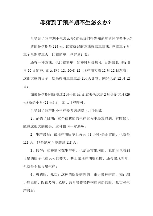 母猪到了预产期不生怎么办？