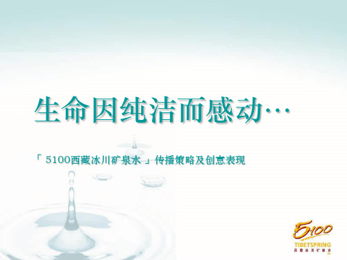 新品上市传播策略及TVC创意提案