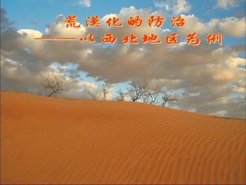 西北荒漠化的防治