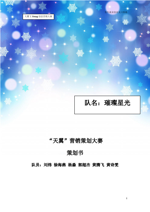 天翼营销策划书