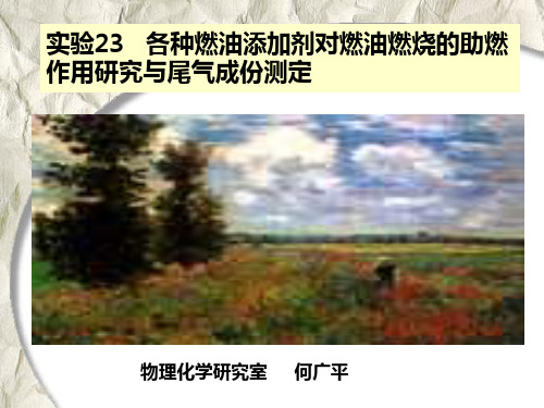各种燃油添加剂对燃油燃烧的助燃作用研究与尾气成份测
