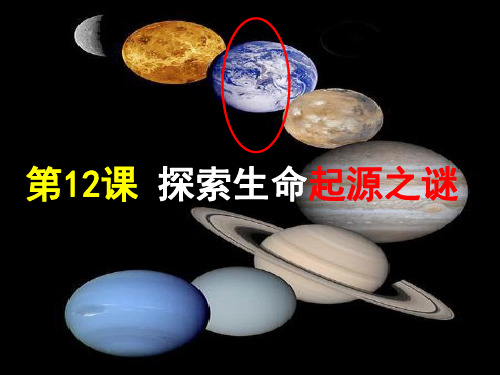 人教版高中历史必修三第四单元第12课  探索生命起源之谜  课件(共24张PPT)(优秀版)