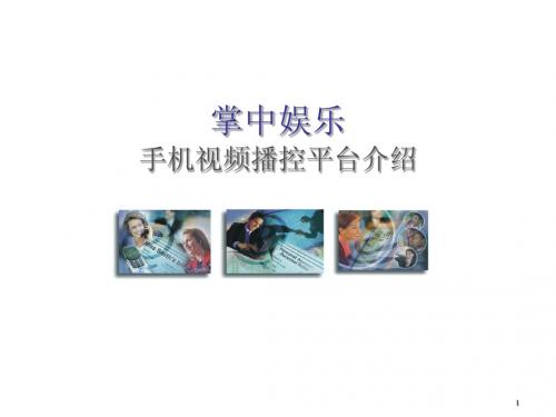 手机视频业务介绍201004