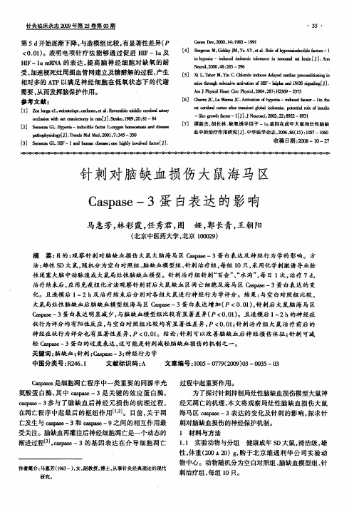 针刺对脑缺血损伤大鼠海马区Caspase-3蛋白表达的影响
