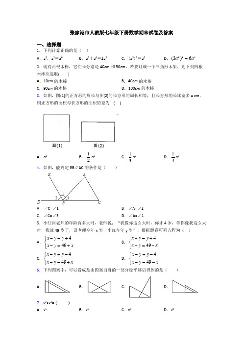 张家港市人教版七年级下册数学期末试卷及答案