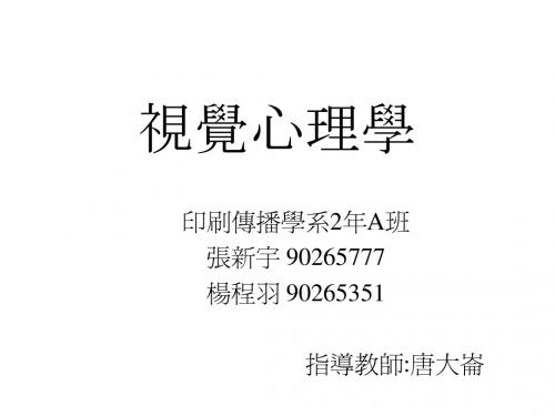 视觉心理学