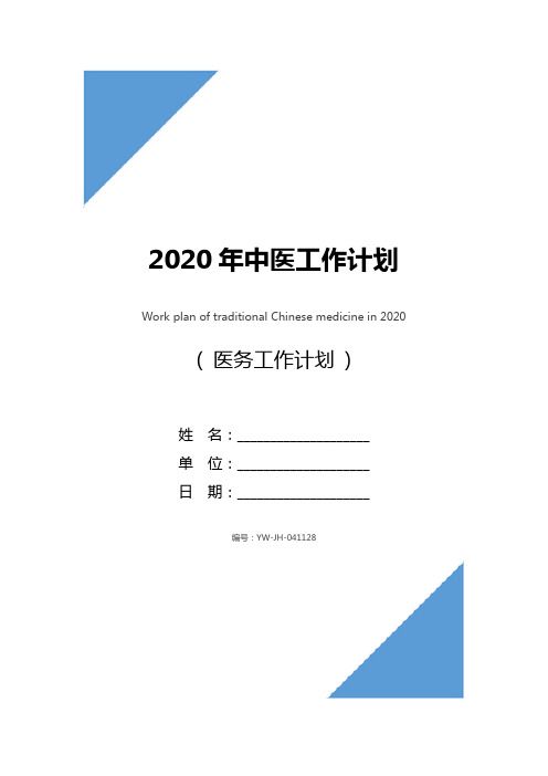 2020年中医工作计划