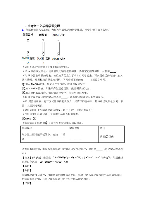 中考化学 探究题综合试题含详细答案