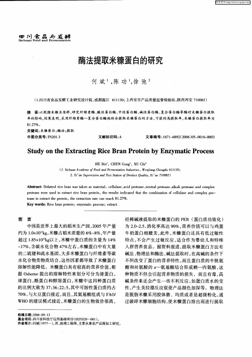 酶法提取米糠蛋白的研究