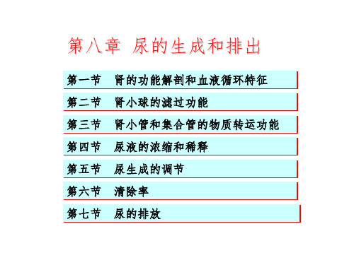 肾脏的排泄功能PPT课件