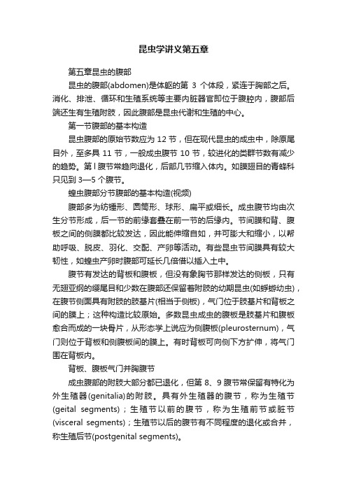昆虫学讲义第五章