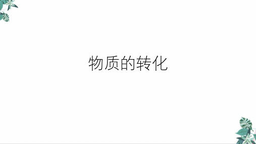 人教版化学中考复习物质的转化(34页)