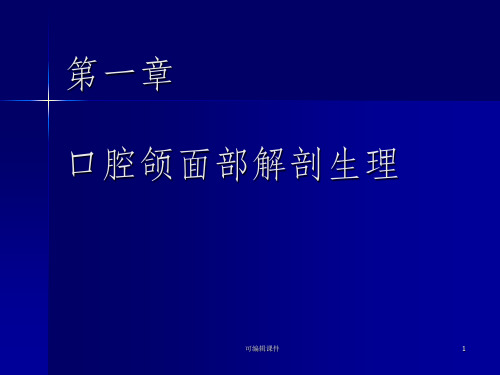 口腔颌面部解剖ppt课件