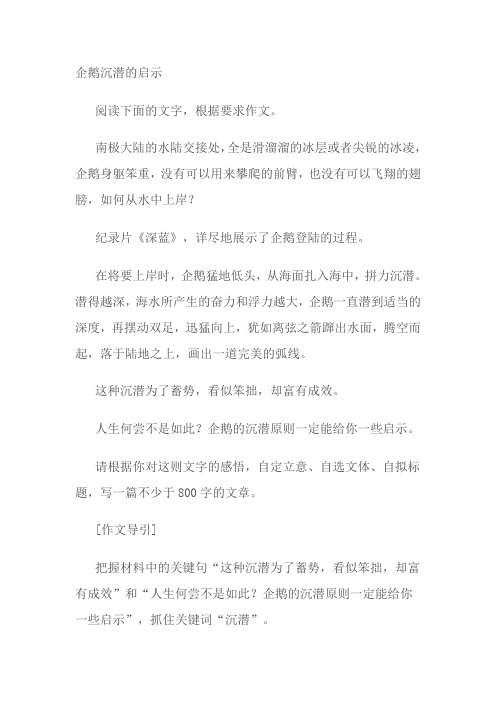 企鹅沉潜的启示