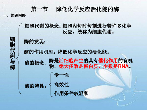第二节 细胞的能量通货——ATP PPT课件