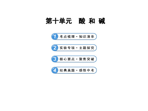 最新人教版中考化学专题复习第10单元《酸和碱》PPT课件