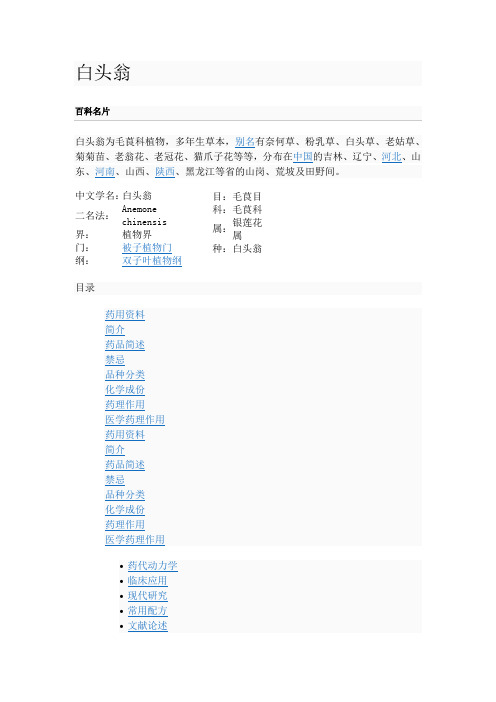白头翁